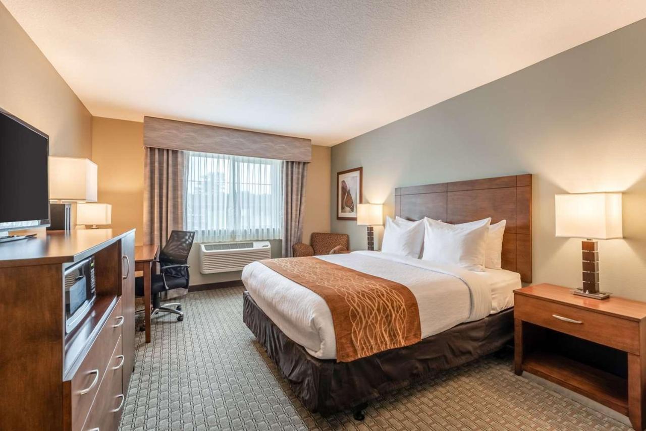 Comfort Inn & Suites شاكوبي المظهر الخارجي الصورة