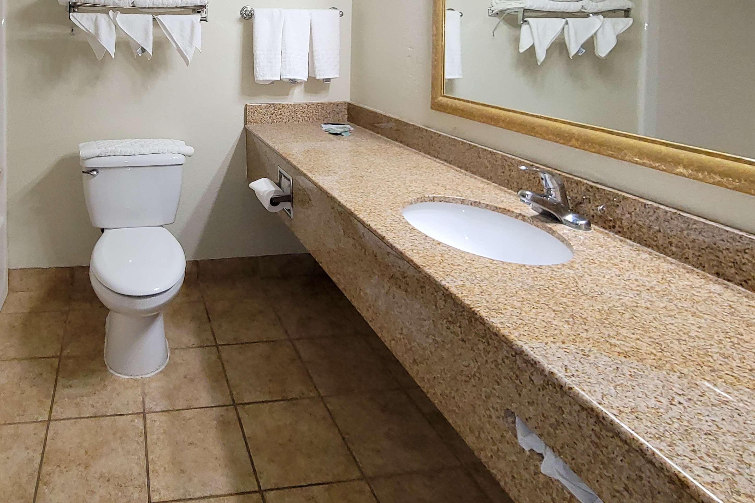 Comfort Inn & Suites شاكوبي المظهر الخارجي الصورة