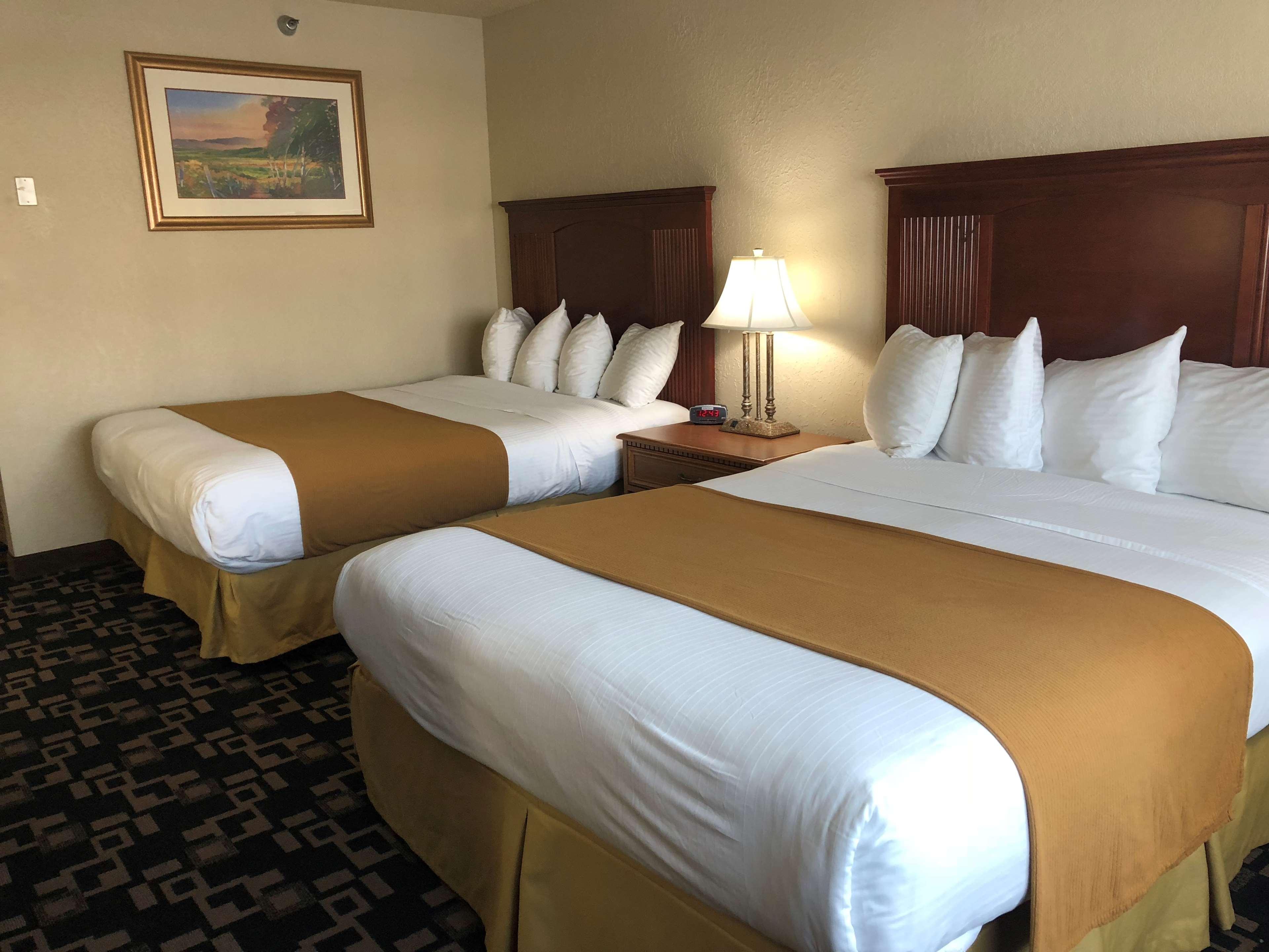 Comfort Inn & Suites شاكوبي المظهر الخارجي الصورة