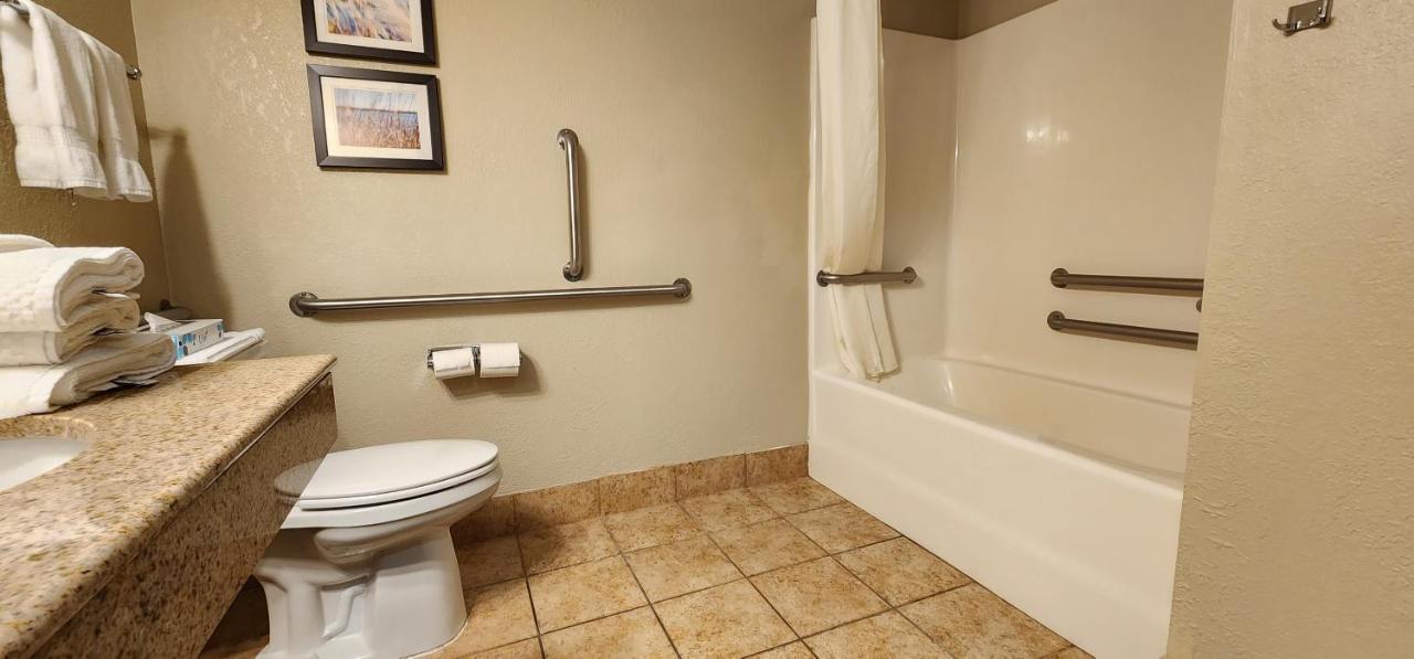Comfort Inn & Suites شاكوبي المظهر الخارجي الصورة