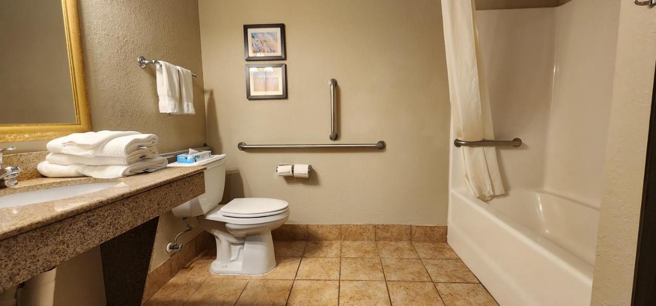 Comfort Inn & Suites شاكوبي المظهر الخارجي الصورة