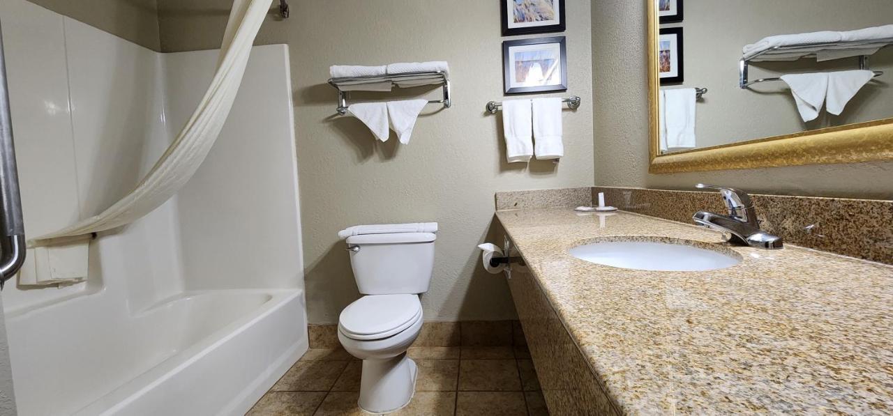 Comfort Inn & Suites شاكوبي المظهر الخارجي الصورة