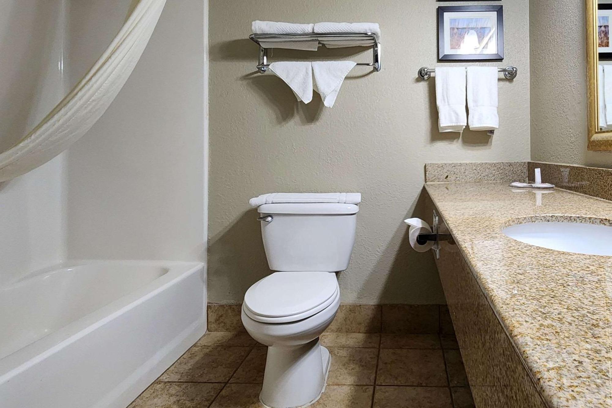 Comfort Inn & Suites شاكوبي المظهر الخارجي الصورة
