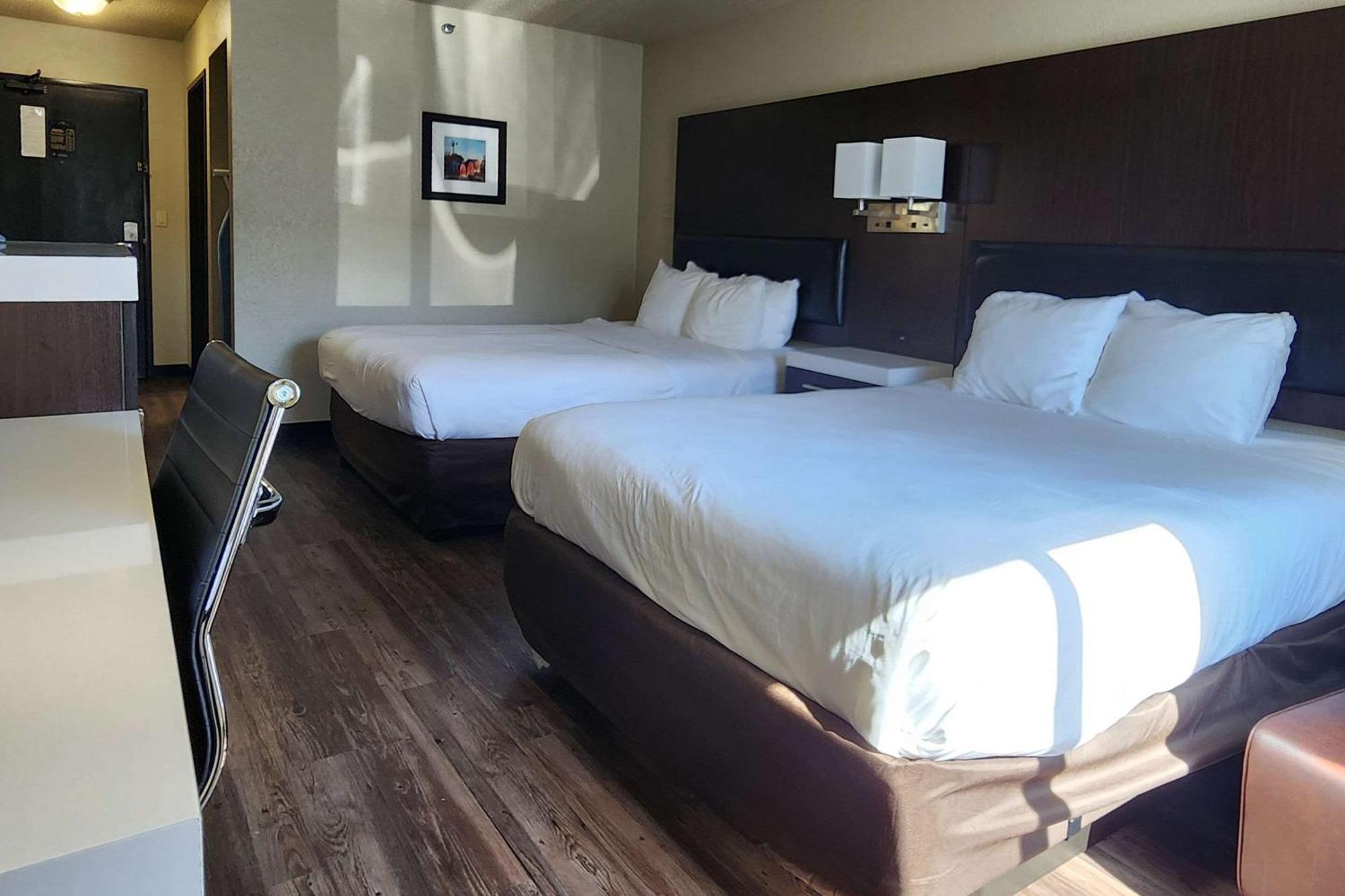 Comfort Inn & Suites شاكوبي المظهر الخارجي الصورة